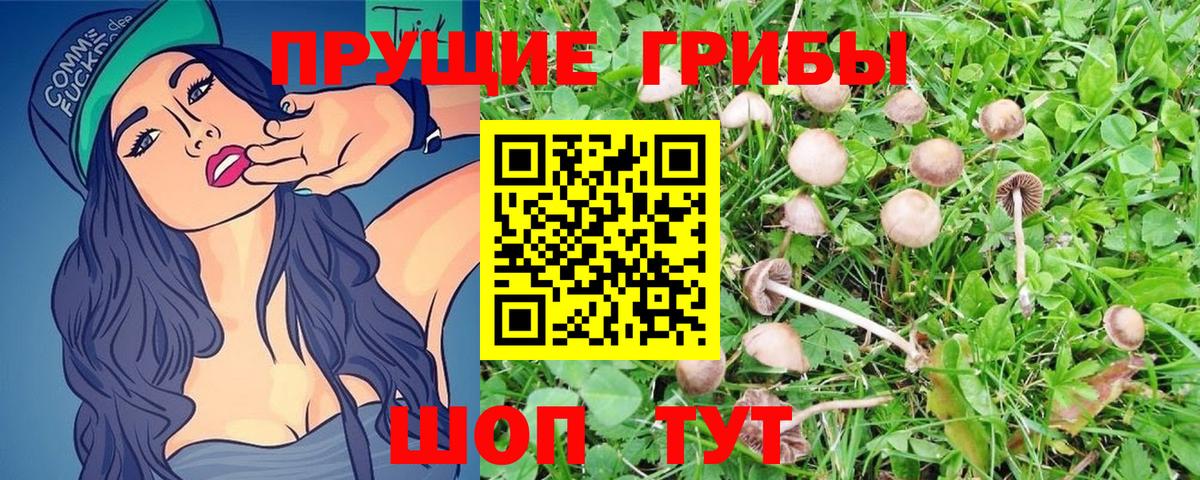 Псилоцибиновые грибы Magic Shrooms Семёнов