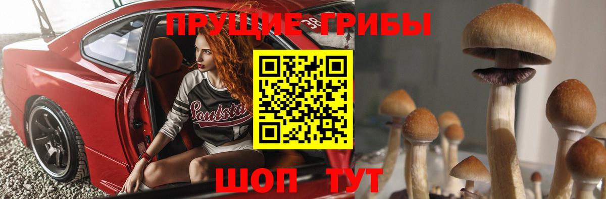 купить   Вход с VPN  Семёнов  Галлюциногенные грибы ЛСД  Псилоцибиновые грибы мицелий 